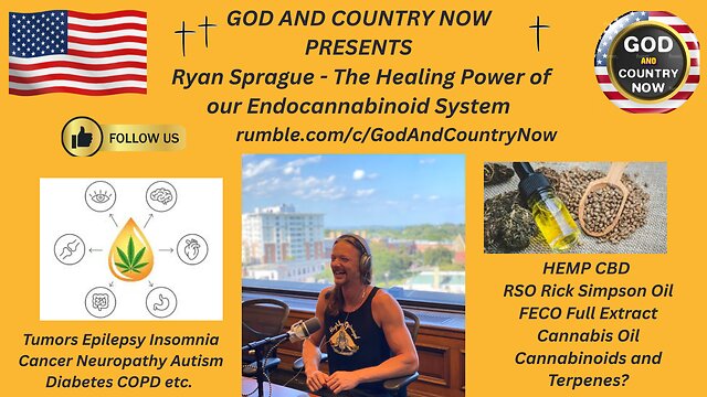 Ryan Sprague — The Healing Power of Our Endocannabinoid System — original episode artwork